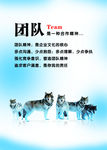 企业文化展板之团队