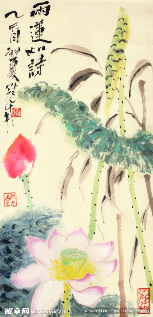 吴冠南 花卉