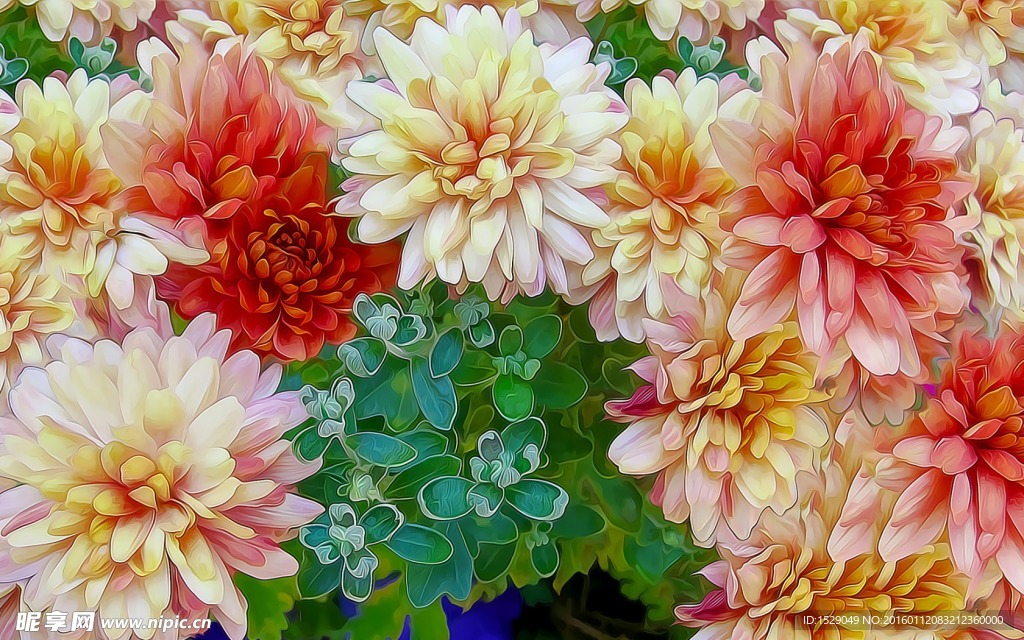 抽象花卉