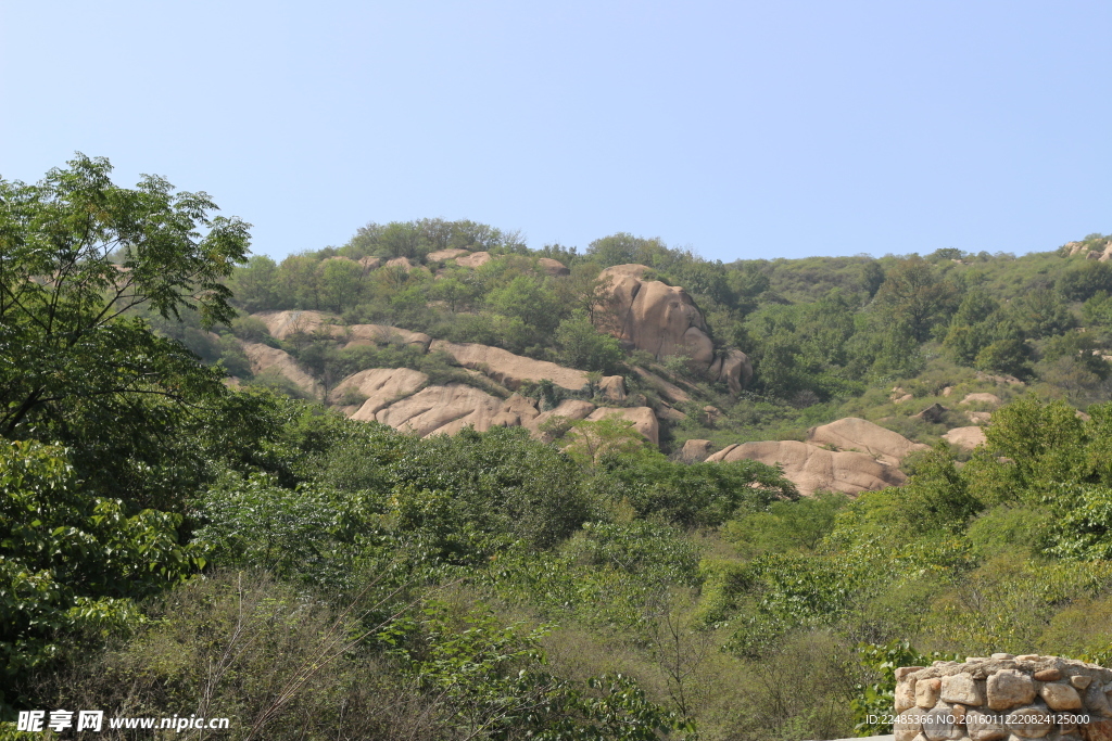 青山