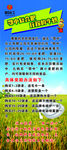 鄂中复合肥展架