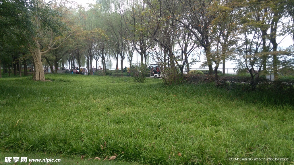 公园草地