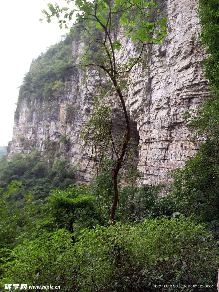 大山