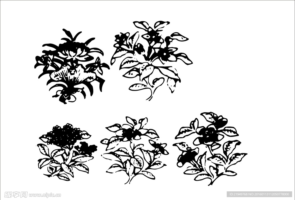 花图