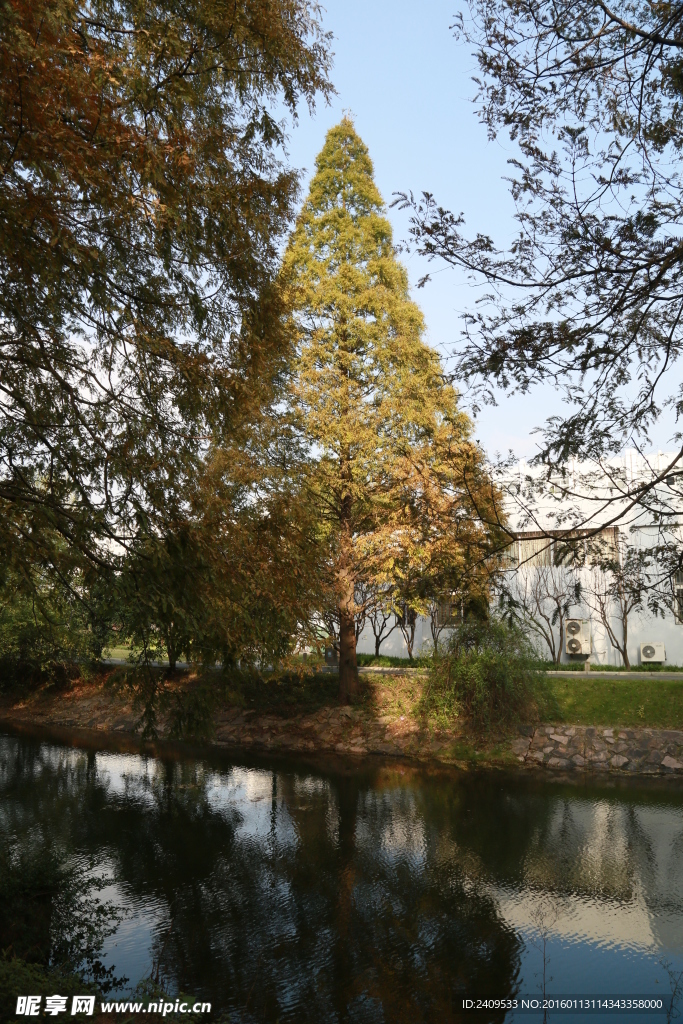 上海交通大学