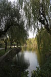 上海交通大学