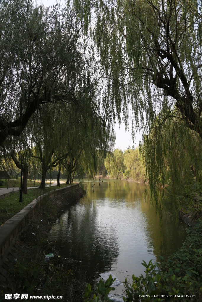 上海交通大学