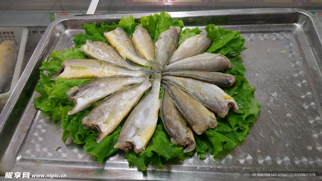 无头黄花鱼