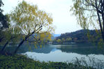 公园湖景