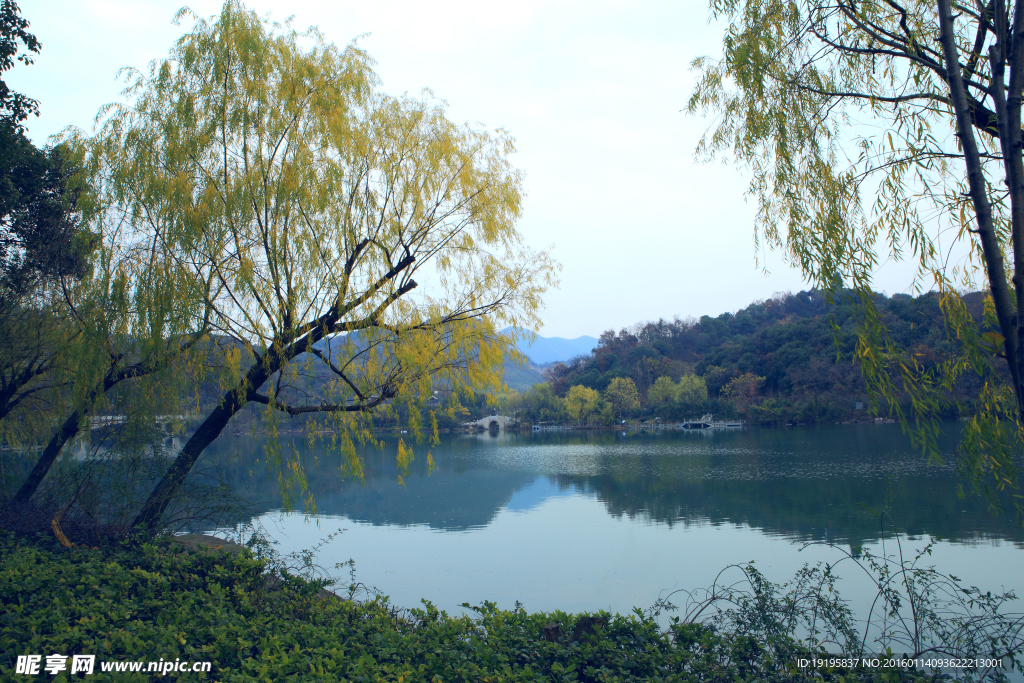 公园湖景