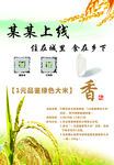 绿色商城宣传页