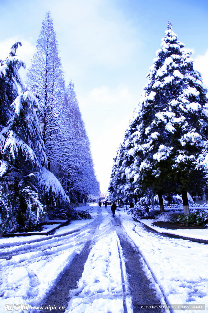 中科大雪景