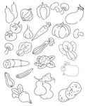 蔬菜简笔画