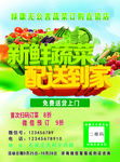 蔬菜彩页