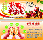 红枣夹核桃