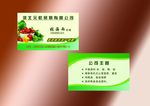 蔬菜名片