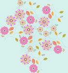韩国花纹