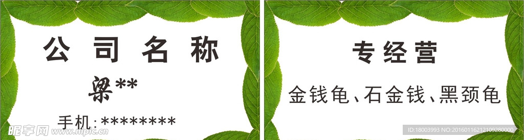 绿叶名片