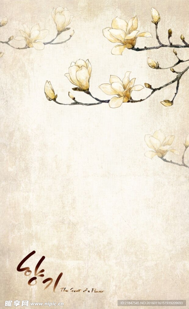 花边分层PSD素材