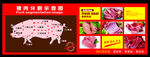 猪肉分割图 猪肉示意图