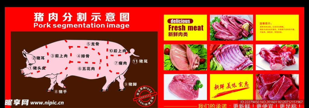 猪肉分割图 猪肉示意图
