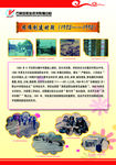 艰难创建时期