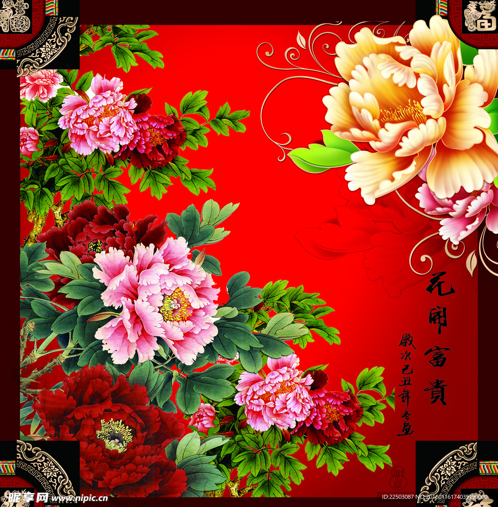 牡丹
