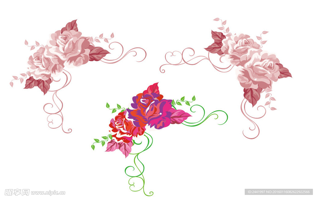 花瓣 花朵