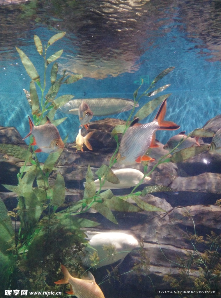 水族馆