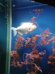 无锡水族馆