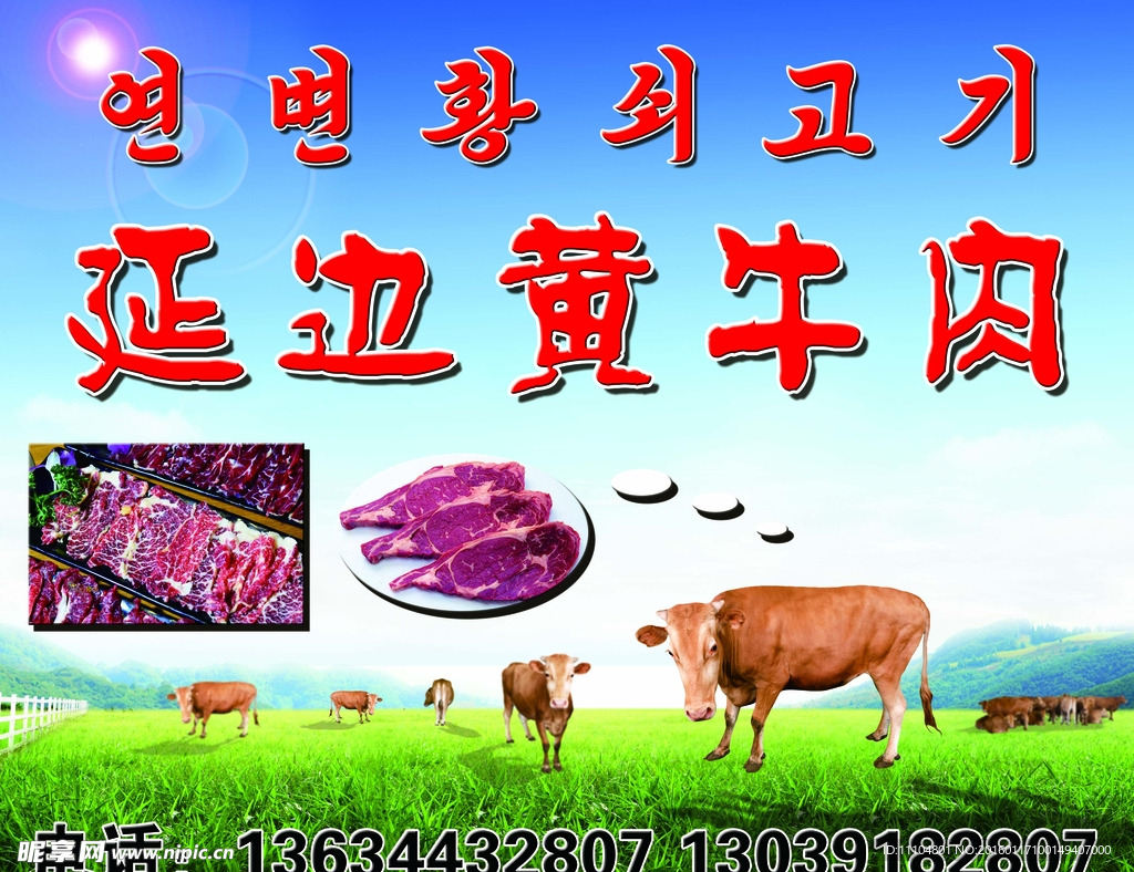 延吉黄牛展板