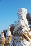 雪景