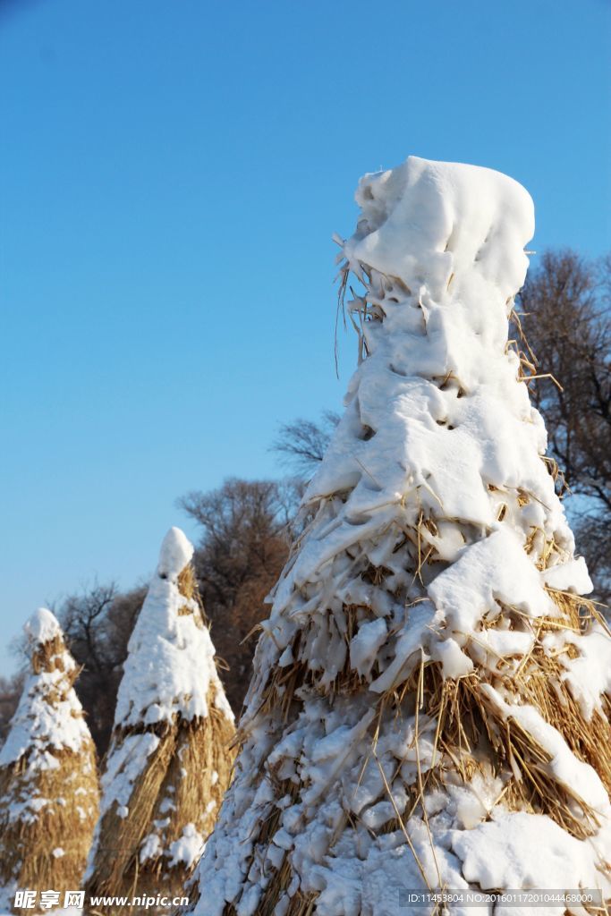 雪景