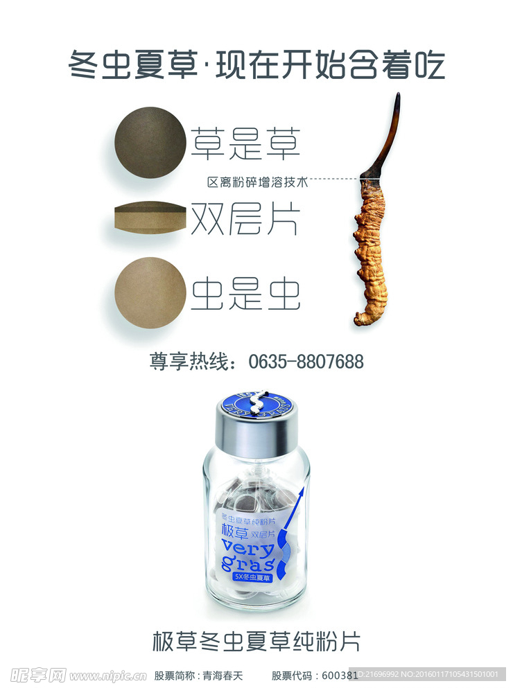 冬虫夏草 展架