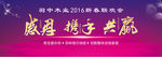 2016年会