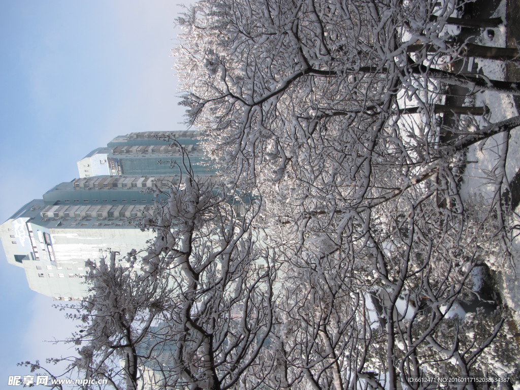 雪景