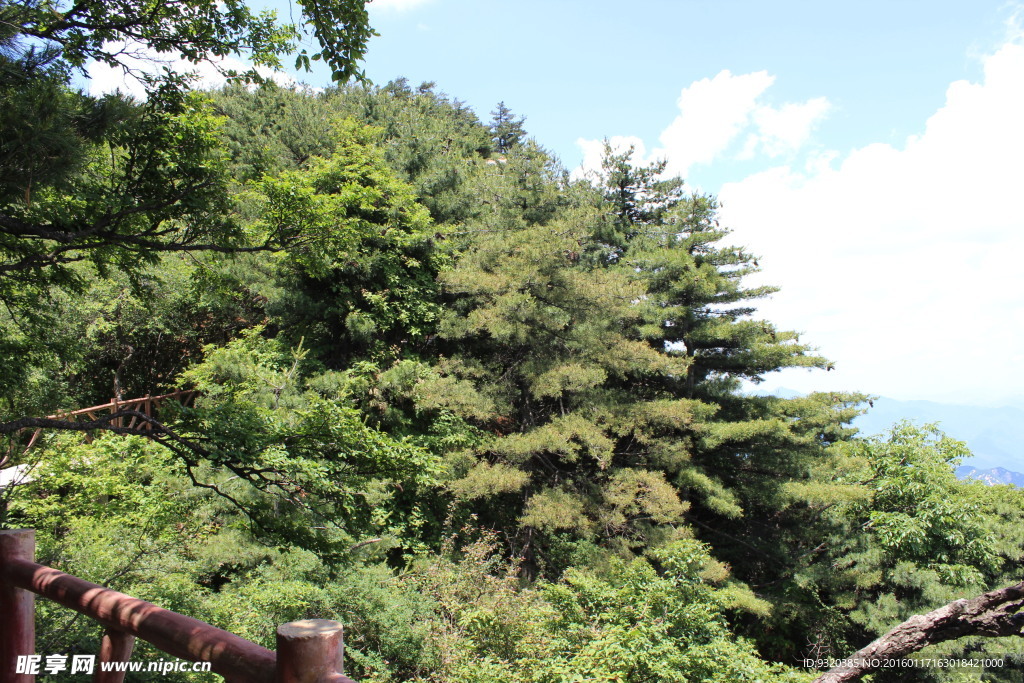 尧山 自然风景