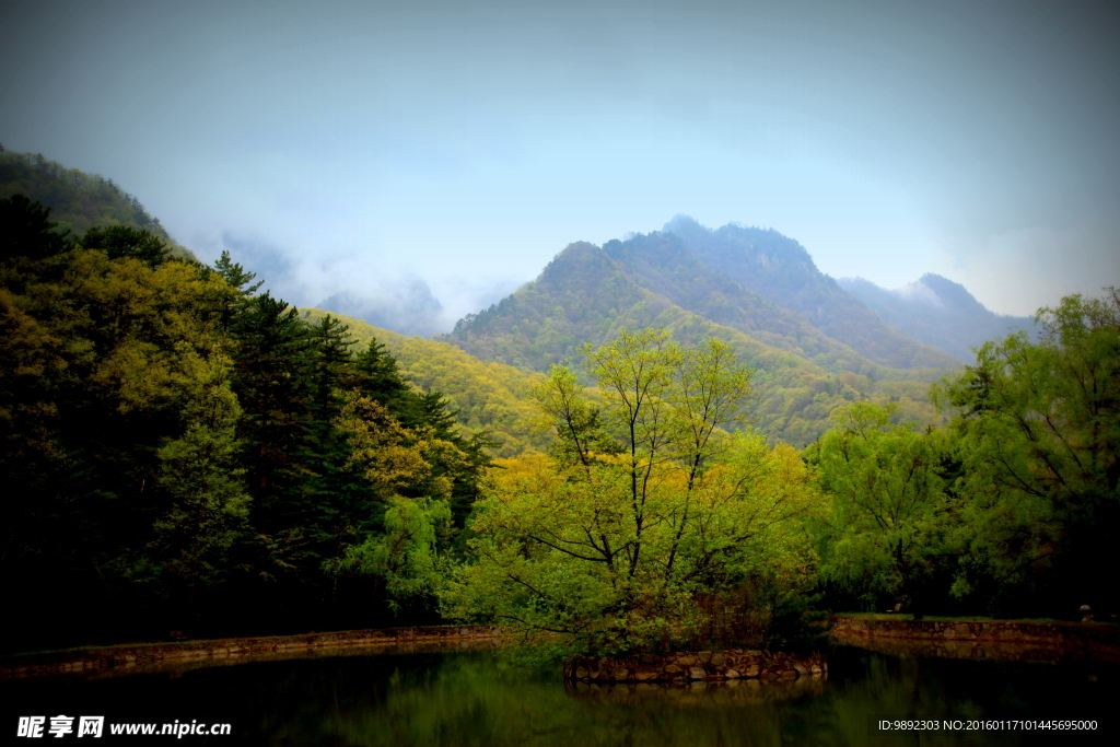 山水 湿地