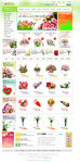 韩国鲜花礼品购物类型网页