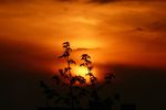 夕阳