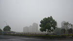 临平景观