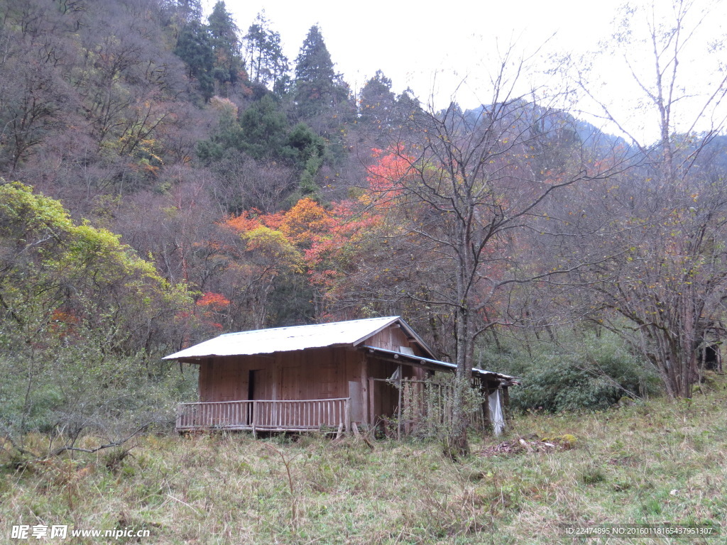 小木屋