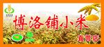 小米海报