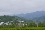 田原风光