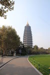 常州红梅公园