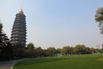 常州红梅公园