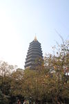 常州红梅公园