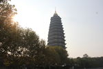 常州红梅公园