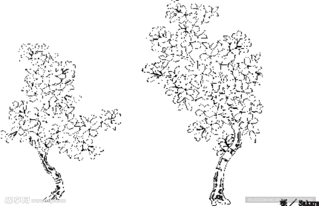 线描Sakura矢量素材