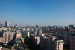 高楼建筑